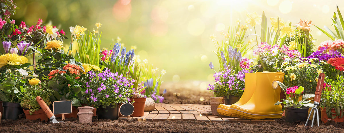 First Day of Spring – Bradford Greenhouses Garden Gallery