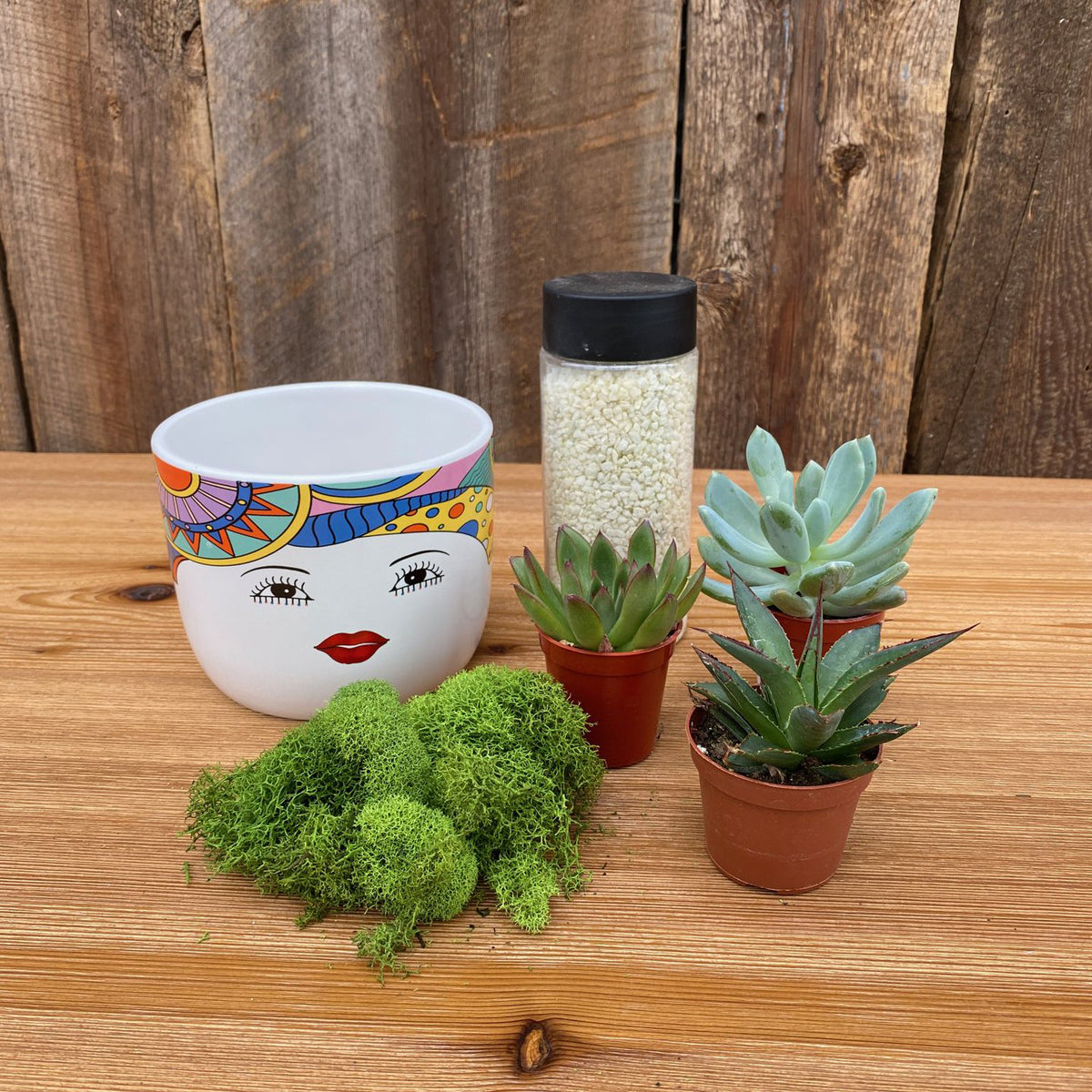 DIY Succulent Planter Bradford Greenhouses Garden Gallery