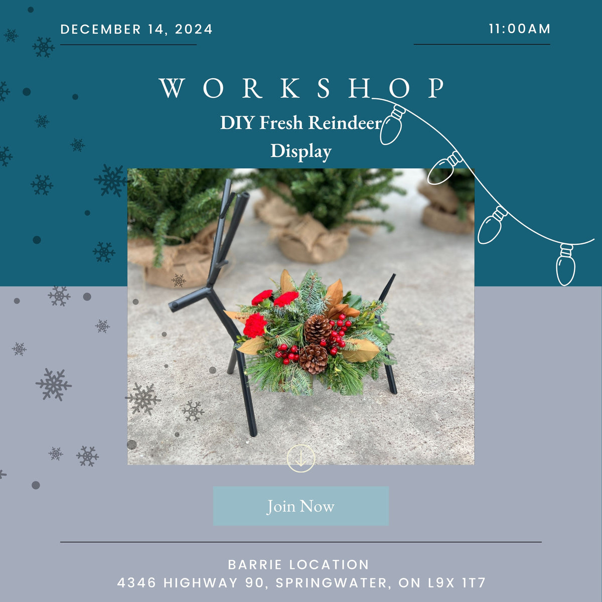 Ticket DIY Fresh Reindeer Display (Barrie Location