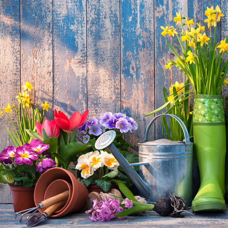 Get Your Yard Spring Ready with These Seven Simple Steps