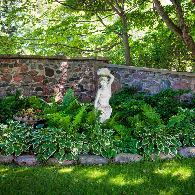 The Secret to Successful Shade Loving Gardens