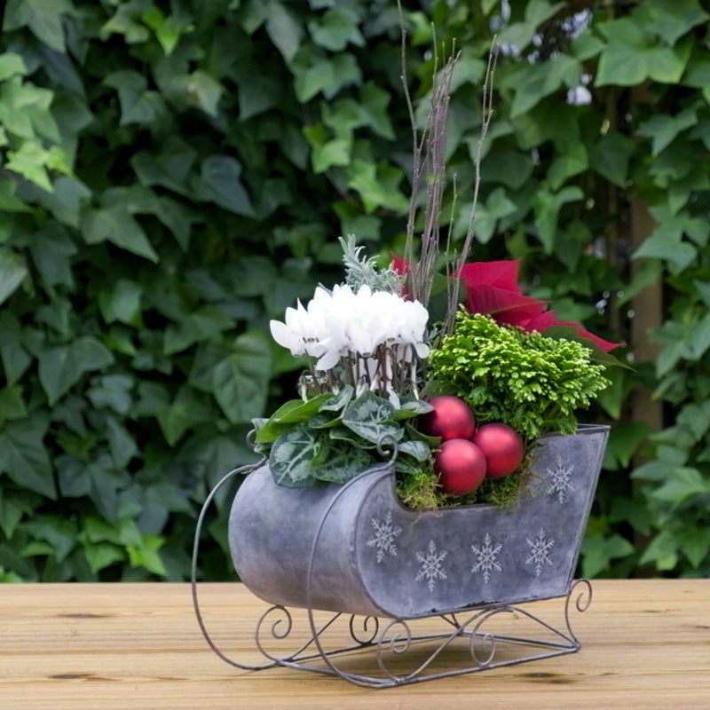 Create Your Own Christmas Planter