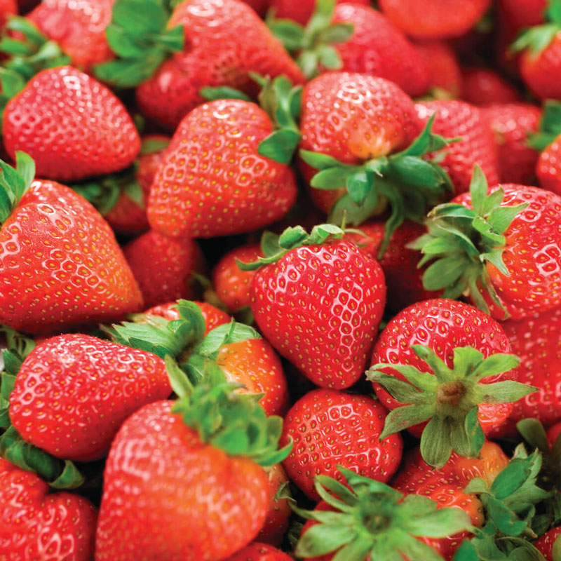 Tips for this Strawberry Season