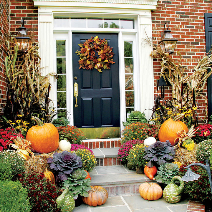 DIY Fall Front Door Decorating – Bradford Greenhouses Garden Gallery