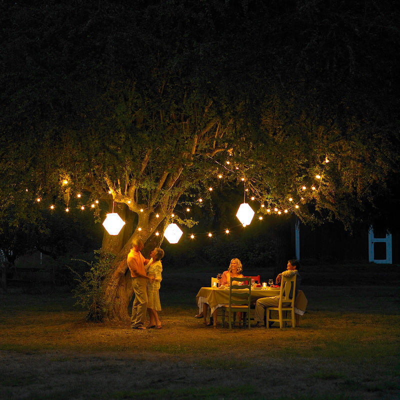 5 Plants to Deter Mosquitos