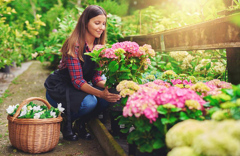 Lawn & Garden Supplies