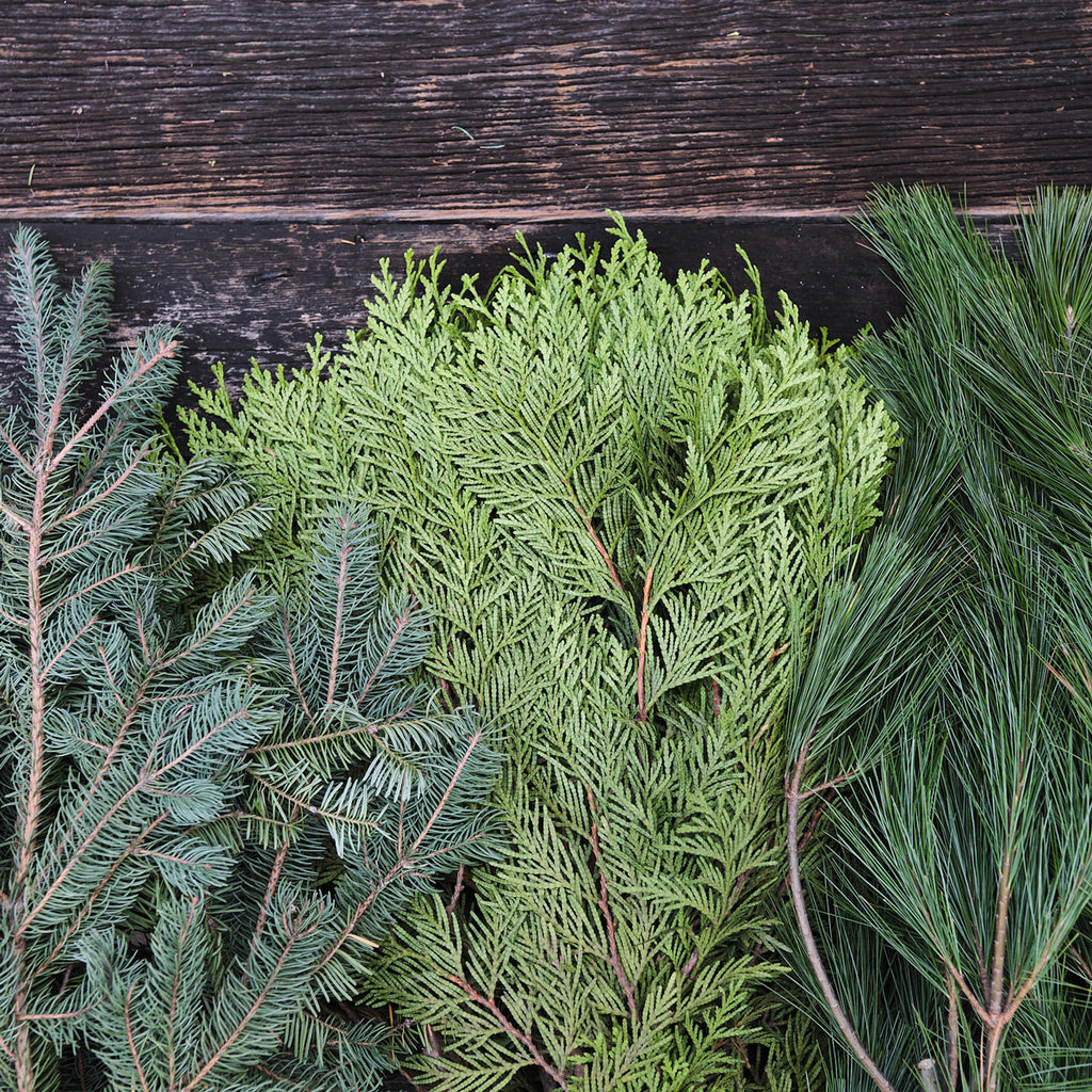 Boughs & Greenery