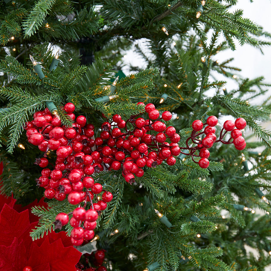 Christmas Berry Picks