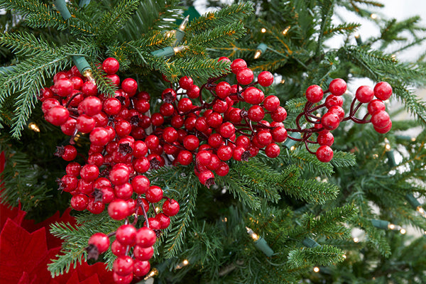 Christmas Flower Stems & Picks