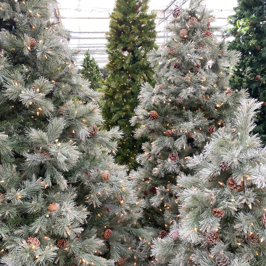 Everlasting Trees