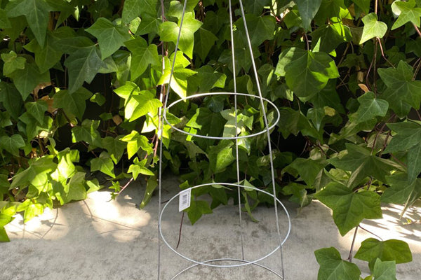Plant Support