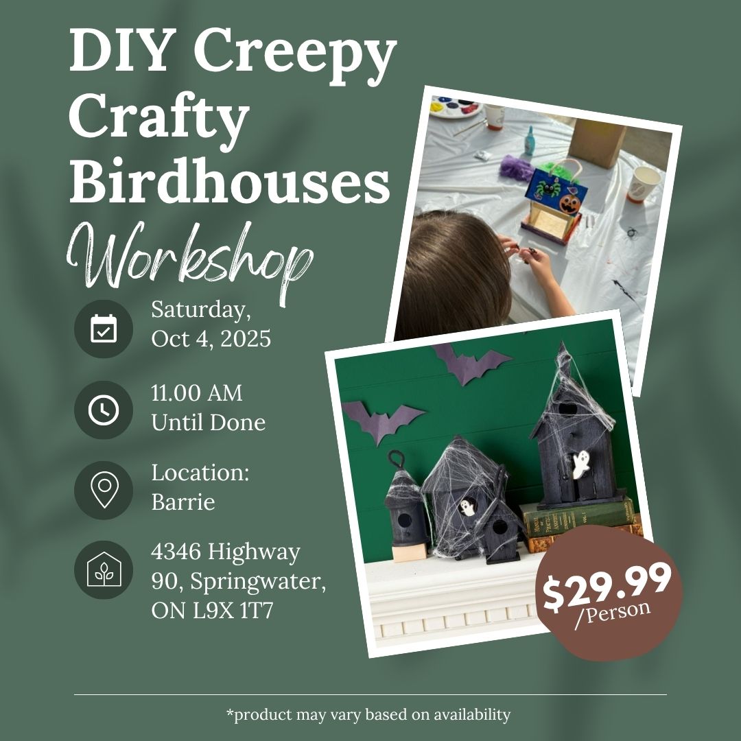 Ticket: Kids' DIY Creepy Crafty Birdhouse Workshop (Barrie Location) | October 4th, 2025
