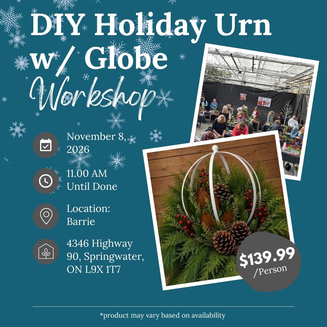Ticket: DIY Holiday Urn w/ Globe Workshop - November 8th (Barrie Location)