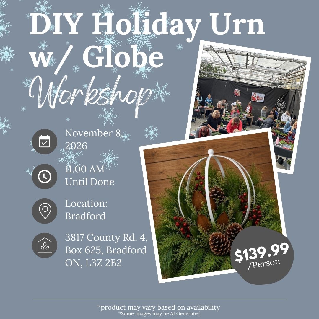 Ticket: DIY Holiday Urn w/ Globe Workshop - November 8th (Bradford Location)
