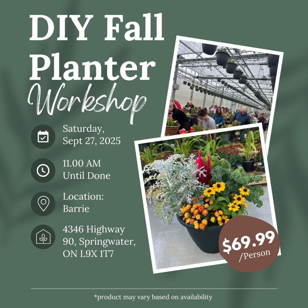Ticket: DIY Fall Planter Workshop (Barrie Location) | September 27th, 2025