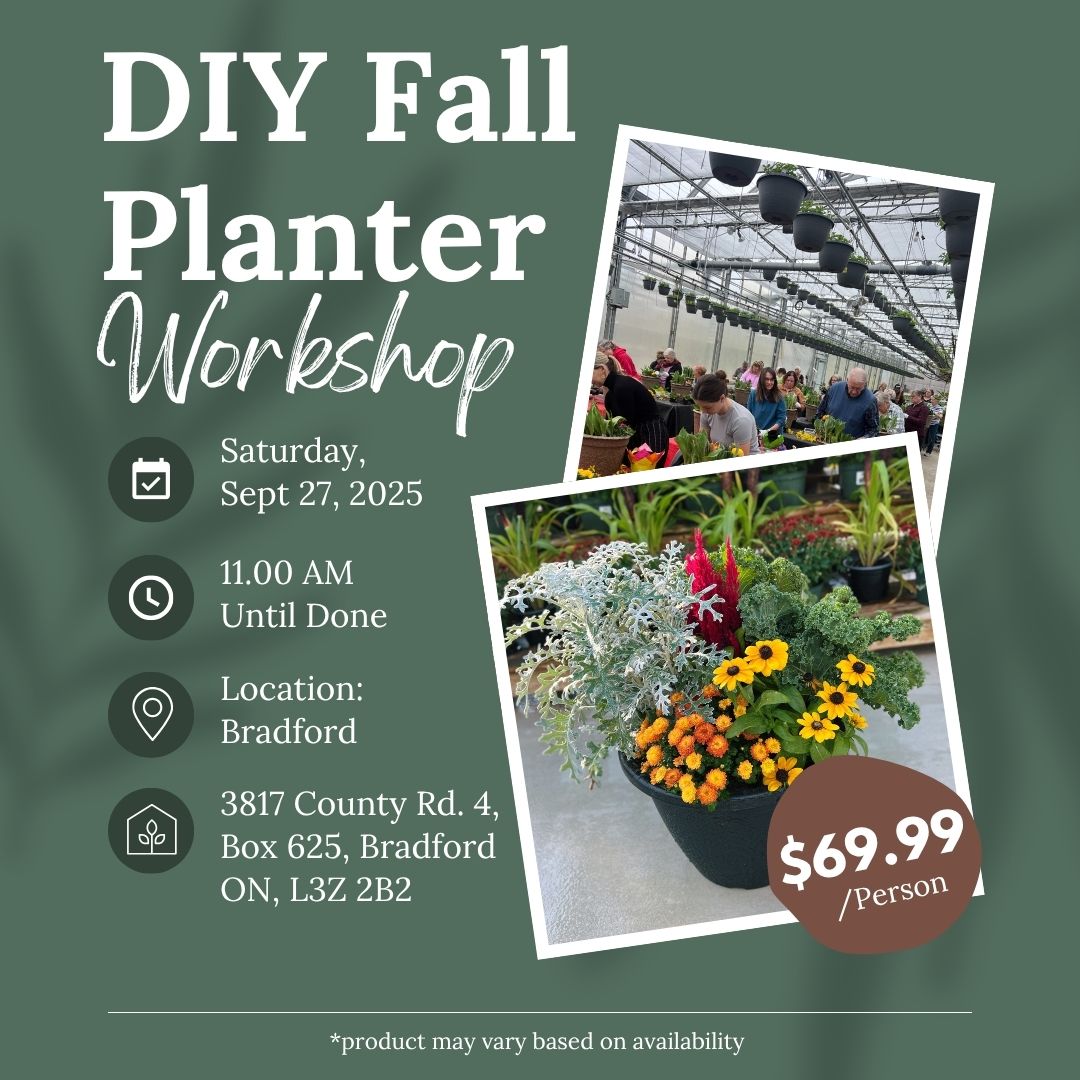 Ticket: DIY Fall Planter Workshop (Bradford Location) | September 27th, 2025